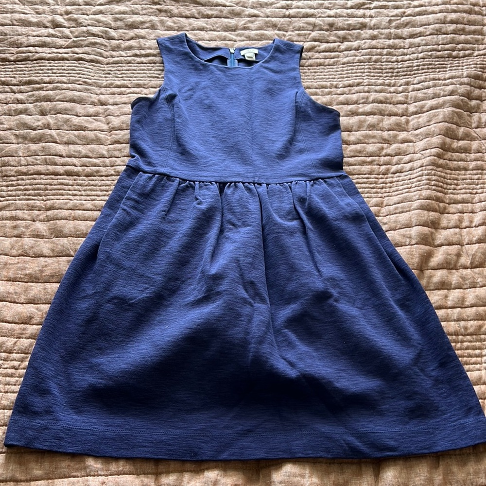 JCrew Factory A Line dress